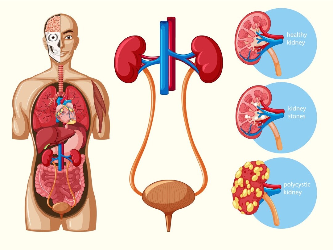 Best Urology Hospital in Ahmedabad  
